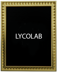 LYCOLAB: Ha desarrollado una metodología exclusiva que permite incorporar el colágeno a la cosmética natural