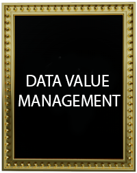 DATA VALUE MANAGEMENT: Desarrollo de aplicaciones a medida que integran Inteligencia Artificial  y Analítica Avanzada de Datos